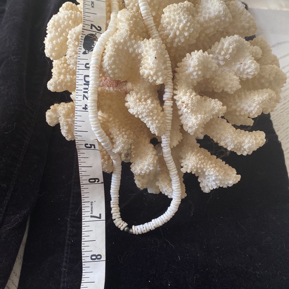 Shell necklace - Picture 3 of 5